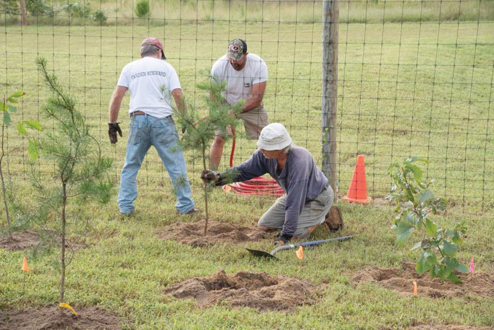 Volunteers plant 270 new trees at botanic gardens